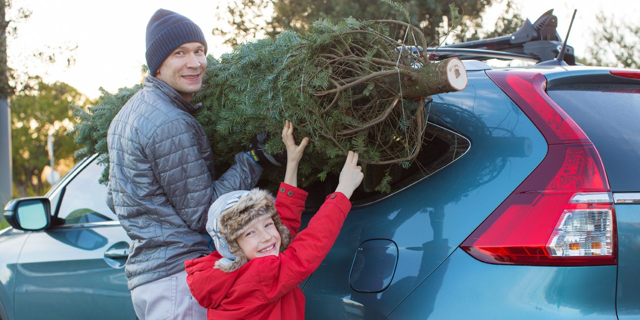 Man and Boy putting tree on car | Transmission Doctor and Auto Care